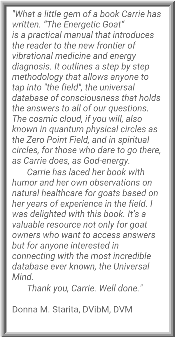 Book - The Energetic Goat - Image 5
